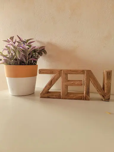 Carizen