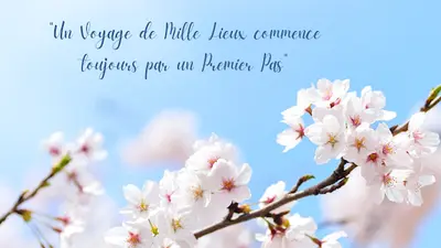 Elisabeth Canizares - Bazi (astrologie Chinoise), Energétique Chinoise et Reiki