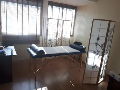 Dr Virgile Ducet - Acupuncteur Sans Aiguilles À Aix-les-bains