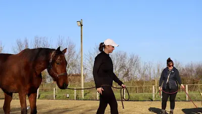 Colombe Laurine