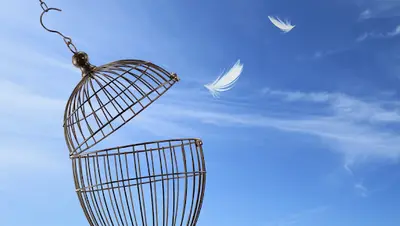 Hypnose Ancenis Alexandrine Boré (hypno Thérapeute) Pluridisciplinaire Adulte-enfant / Emdr