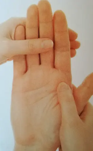 Ruspil Pascale Réflexologue