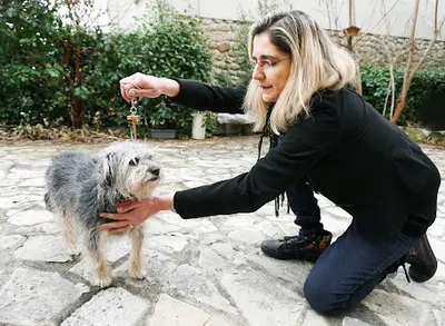 Stéphanie Crozier Magnétiseur Radiesthésiste