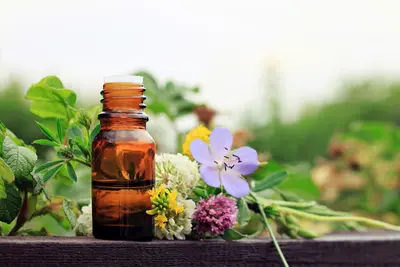 Catherine Mangin Casoni - Réflexologie, Kobido, Naturopathie, Jeûne
