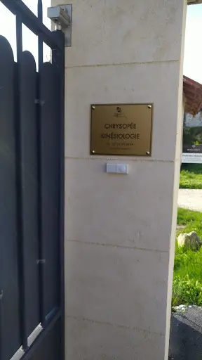 Chrysopée Kinésiologie