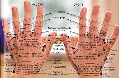 Réflexo Fun en Sud Gironde - Réflexologie et Massages Acupression