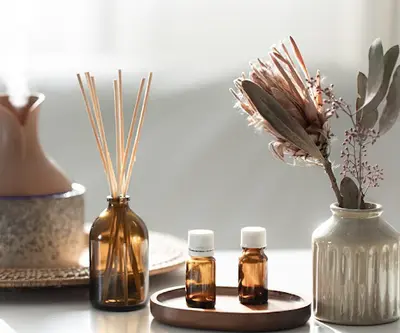 Terrapeia - Reiki - Aromathérapie - Phytothérapie - Guidance- Véronique Massoulier