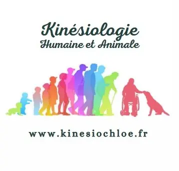 Chloé Fauthoux - Kinésiologie Humaine et Animale