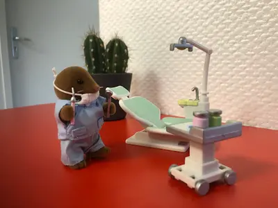 Dr Orthodontie Mercureaux | Dr Apolline Trioulaire | Besançon