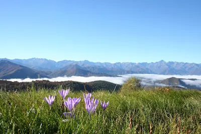 Jacky Boutin Reiki Nature Couserans