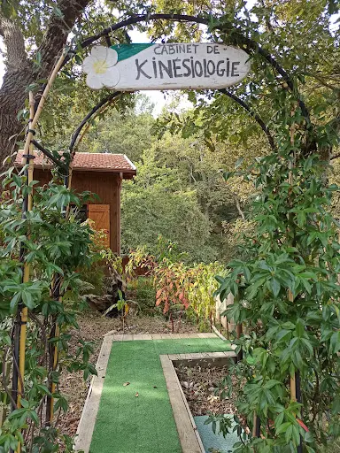 Laure Queritet Cabinet de Kinésiologie le Chat Mi-zen