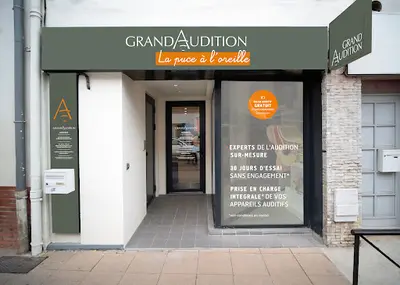 Grandaudition Blagnac - la Puce À l'Oreille