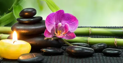 Reiki By Nelly