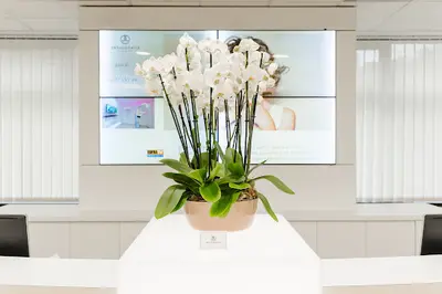 Dr Orthodontie Paris Boulogne : Dr L. Leloup
