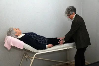 Viviane Magniez-duval Magnétiseur Guérisseur Soins À Distance