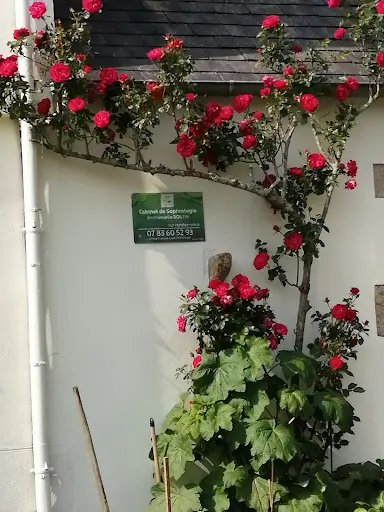 Emmanuelle Boutin - Sophrologue- au Logis de la Sophro Brestoise