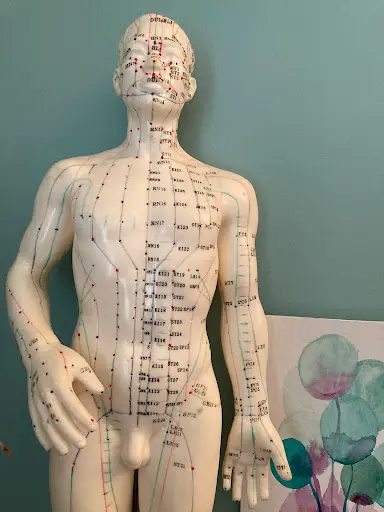 Dr Laurie Damnon, Médecine Traditionnelle Chinoise, Acupuncture