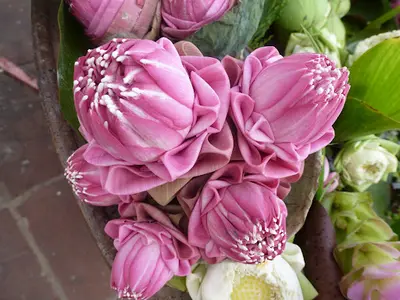 Frédérique Piro