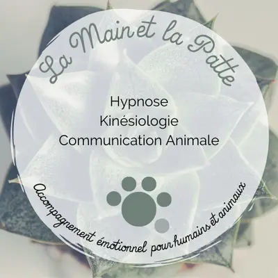 Maureen Gélin - Hypnose, Kinésiologie, Communication Animale