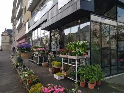 Pharmacie du Cygne de Croix