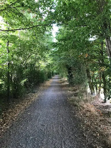 Un Chemin Vers la Reflexologie