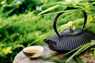 Zen Life