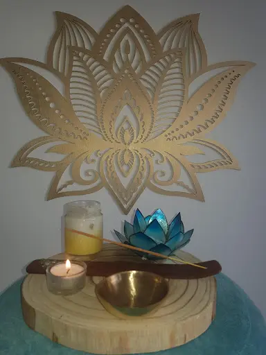 Réflexologie Plantaire Lotus Bleu