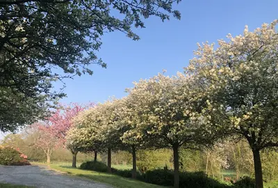 Pétronille Réflexologue et Massage du Dos Saint-lô