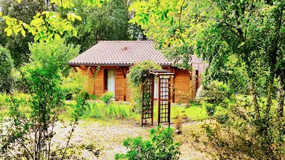 Cabinet d'Hypnose Humaniste Arbor Essence À Carsac-aillac en Dordogne