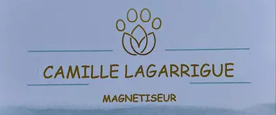 Camille Lagarrigue Magnétiseur