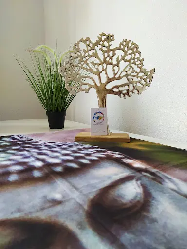 l'Écrin de l'Âme - Reiki Chambery -challes les Eaux