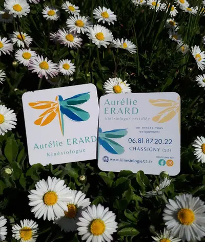 Aurélie Erard Kinésiologie