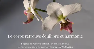 Reprendre Pied Reflexologie