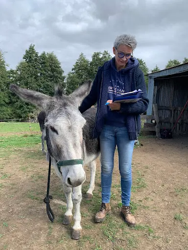 Kinesiologie Animale Séverine Pejcic