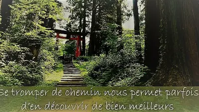 Michaëlle Charvolin - Psychopraticienne