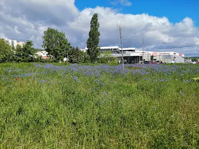 Maison Medicale de Garde Clermont