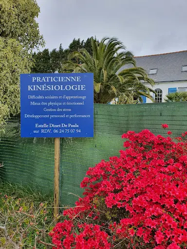 Estelle Dinet de Paula Praticienne en Kinésiologie