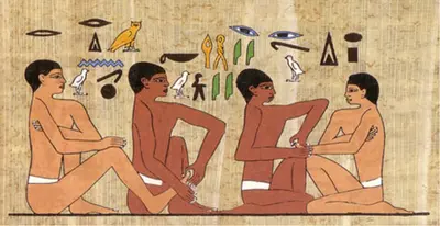 Réflexologie Plantaire Véronique Bessede