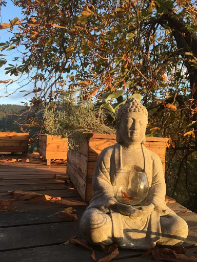Sophro Yoga Corte