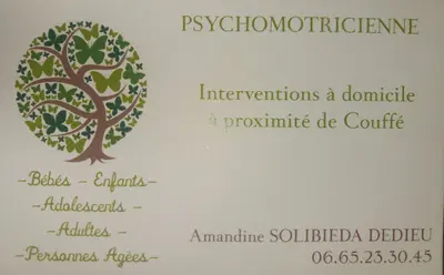 Psychomotricienne À Domicile A. Solibiéda Dedieu