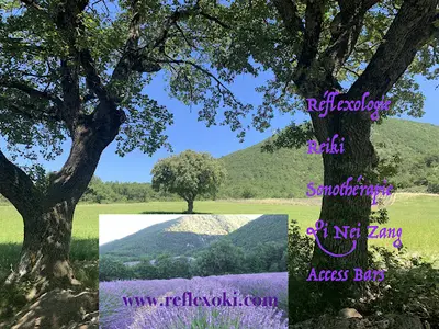Véronique Nicol Maître Reiki Réflexologie Qi Nei Zang Sonothérapie Access Bars Drôme