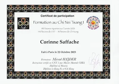Dr Corinne Saffache - Energétique Traditionnelle Chinoise