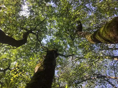Magali Natur’harmonie