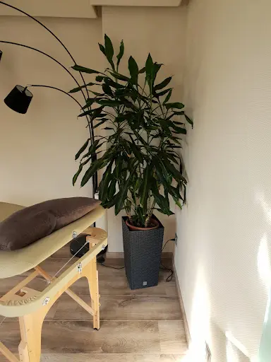 Un Soupçon de Reiki - Isabelle