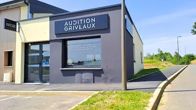 Audition Griveaux