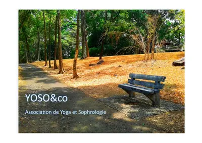Sophrologie en Groupe - Yoso&co