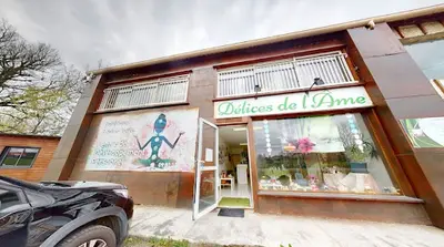Délices de l'Âme- Thérapeute Reiki, Magnétiseuse, Coach Bien-être en Nutrition