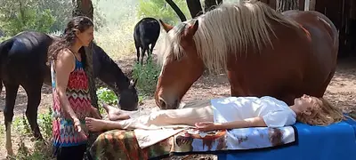 Connexion au Vivant