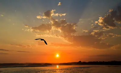 Annie Coste - Cabinet d'Hypnose Ericksonienne - Thérapie Brève