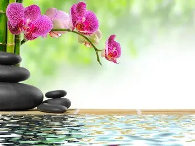 Reiki Librer